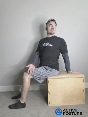 sitting chair twist Activ8 Posture