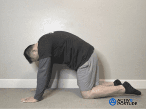 Cats and Dogs - dog position