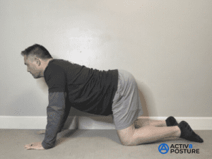 Cats and Dogs - dog position