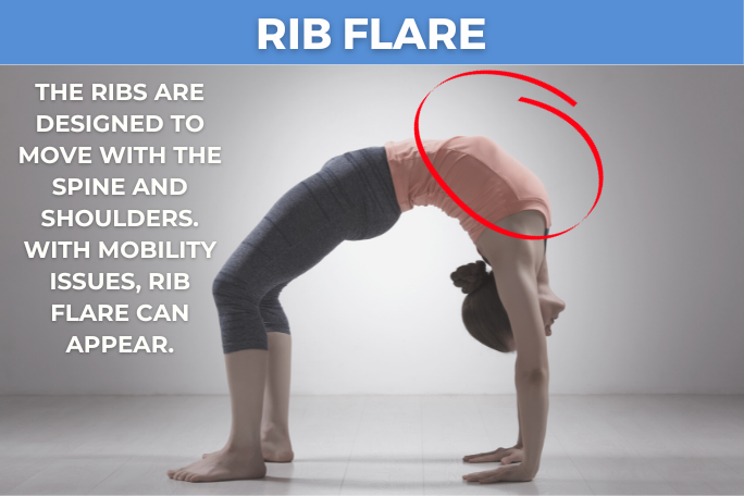 rib flare with exercise